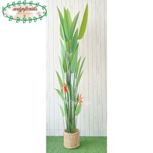 Pohon Hias Pisangan Heliconia Bunga Paradise T210 Latex Pot Dasar Hitam Cover Eceng Gondok Hiasan Cafe Aesthetic