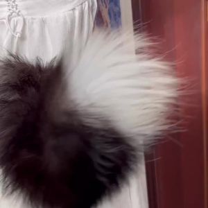 [ Electric Beast Tail ] Daji Electric Tail Little Fox Tail cos Beast Tail Cute Fox Tail