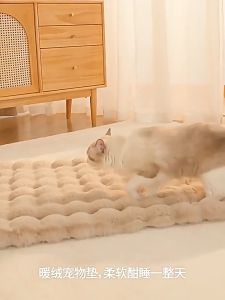Warm Soft Pet Plush Blanket Mat Tilam Kucing Tempat Tidur Kucing Cat Dog Sleeping Bed Pet Supplies