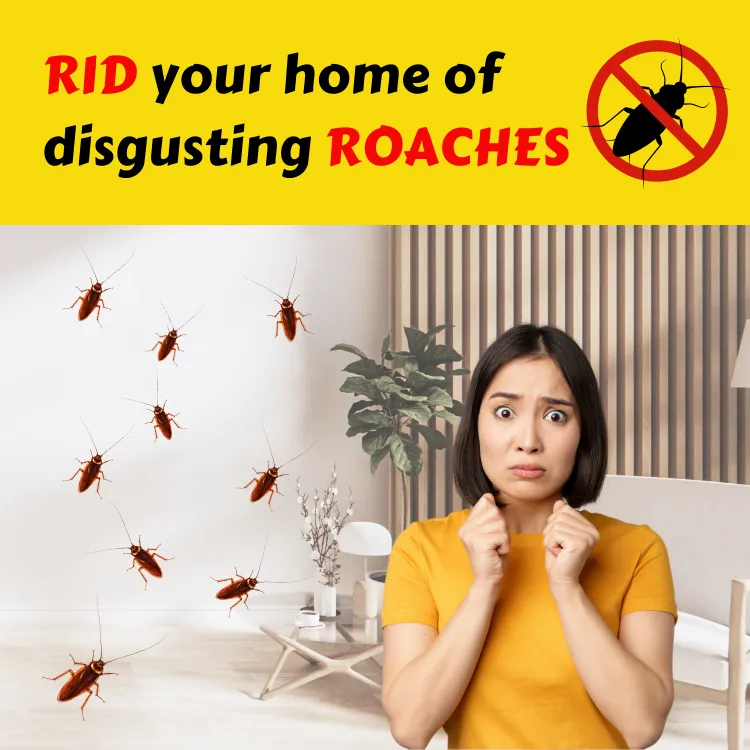 EntoHygiene Services Sdn Bhd. - Do you know how cockroach bait works❓ Cockroach  bait is a slow-acting insecticide with food attractant. The characteristics  of the baits lure the cockroaches to feed on