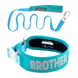 HamshMoc Waterproof Pet Dog Collar with Leash Set Breathable Dog Collar Adjustable Soft Comfortable with Quick Release Buckle for Dog