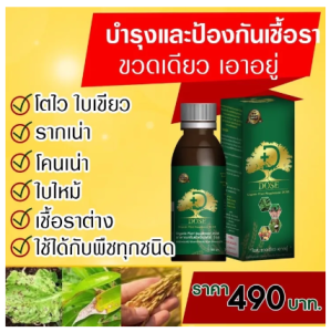 Dose โดส ฮอร์โมนพืช อาหารเสริมพืช เร่งผลผลิต เร่งต้น เร่งดอก เร่งนํ้ายาง เร่งโต โตไว ใบเขียว เพิ่มผลผลิต