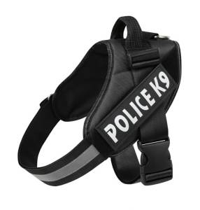 สายรัดอกสุนัข สายรัดอกหมา สายรัดอก ใช้ได้กับสุนัขทุกขนาด ไซส์ XS-XXL หลากสี V1 🚚 ส่งฟรี ใช้ร่วมกับคูปอง