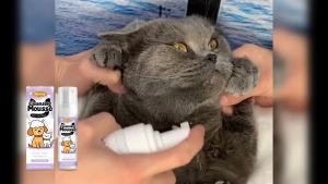 EelJoyNo-Rinse Cleansing Mousse Cat and Dog Body Hair Deodorizing Clean Convenient No-Wash Foam Mousse