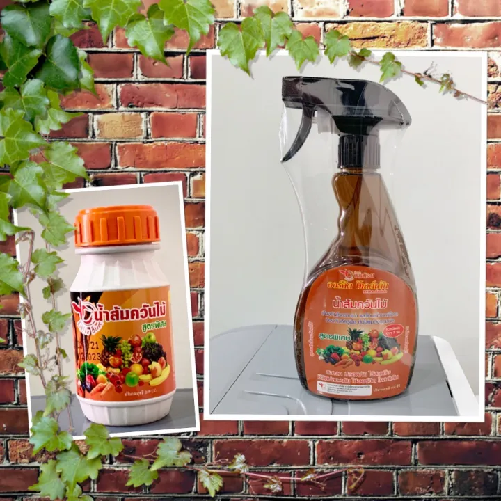 น้ำส้มควันไม้ Orchid Golden สูตรพิเศษ แบบสเปรย์พร้อมใช้