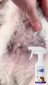 New Kills parasites easily Kill ticks and fleas in 1second ubat kutu kucing cat ubat kutu anjing tick and flea spray 猫咪驱虫药 dog flea medicine  flea spray cat flea spray flea medicine for cats spray kutu kucing