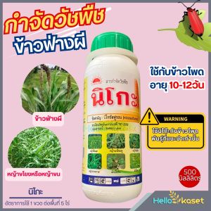 นิโกะ 500ml. นิโคซัลฟูรอน กำจัดวัชพืช หญ้าในไร่ข้าวโพด ข้าวฟ่างผี หญ้าโขย่ง หญ้าปากควาย ฉีดสาดได้ในพันธ์ข้าวโพด