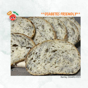 💯 Natural Yeast Barley Sourdough (504R3-P27)