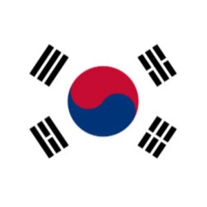 100 PC 65mm Paper Cake FlagToothpickFruit PicksSoutheast AsiaMalaysia Indonesia Thailand Vietnam Flag