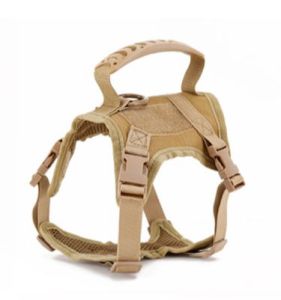 Dog Cat Walking Jacket Harness Leash Pets Puppy Kitten Clothes Adjustable Vest Collars Lead Leash Strap Belt