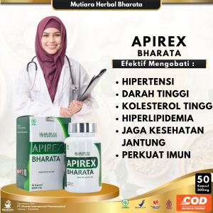 APIREX BHARATA Obat Herbal Alami 100 % Hipertensi Kolesterol Tinggi