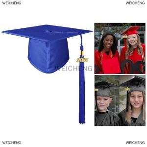 [COD] WEICHENG 2025 Academic Hat Headwear Academy Souvenir Caps Cosplay Supplies Charm Ornament DIY Fringe Graduation Dress Ceremony Hat Master