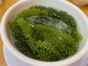 SEAGRAPES - LATOK - GREEN CAVIAR - SEA GRAPES - AROSEP - UMIBUDO Green Grape Seaweed Grapes - Lazada