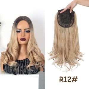 RUMI Curly Long Wavy Synthetic Wig Heat Resistant Fully Matte Fiber Hair Topper Wig Invisible Looking Natural Middle Part Ombre Hairpiece for Women