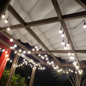 Dây chui đèn trang trí chống nước ngoài trời - quán cà phê - nhà hàng