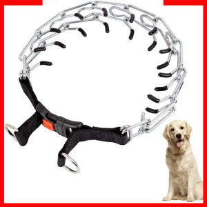 Adjustable Stainless Steel Dog Pinch Collar Rubber Tips Pinch Training Collar Stainless Steel Links Quick Release Locking Carabiner