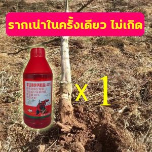 1หยดต้นไม้ใหญ่ก็ตาย HYLยาฆ่าตอไม้ เข้มข้นสุด 200ml 1ขวดเท่ากับ50ขวด ยาฆ่าตอต้นไม้ ตรงไปที่ราก รากเน่ารากตาย หน้าฝนก็ใช้ได้ ยาฆ่าตอไม้ใหญ่ บอกลาการตัดต้นไม้ด้วยตนเอง ไม่เป็นอันตรายต่อดิน ยากำจัดต้นไม้ ยาฆ่าไผ่ ยากำจัดต้นไม้ใหญ่ สารกำจัดกอไผ่ สารกำจัดต้นไม้
