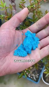 Water Soluble Fertilizer Plant Food NPK 20-20-20 10-30-20 30-10-10 Flower Vegetable Hydroponic Fertilize