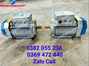 Động cơ điện 220v 3kw (4hp) vòng tua 2900v/p chính hãng giá rẻ
