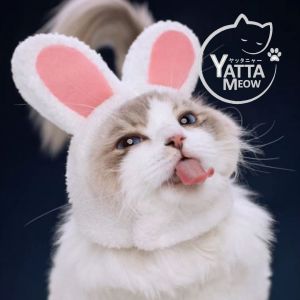 RABBIT Hiasan Kepala Tudung Kucing Cat Headdress Pet Cap Hat Headwear Funny Cute Dress Up with Angle Wing 猫头饰兜帽