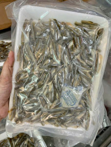 KHÔ CÁ LÒNG TONG ƯỚP VỊ LẠT VỪA ĂN KHÔNG MẶN