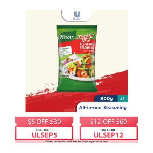 Knorr All In One Seasoning