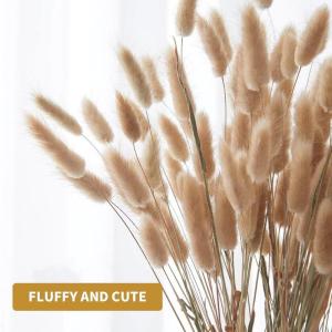 European Vase Decor Minimalist Vase Flower ArrangementLotus Leaf Mouth Modern Flower Vase Elegant Vase for Home Table & Room Decoration