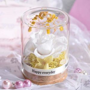 2sql 1 Chiếc Hoa Hồng Quà Tặng Hoa Thật Trang Trí Vĩnh Cửu Trong Thủy Tinh Ngày Lễ Tình Nhân Hoa Khô Tự Làm Ngày Của Mẹ