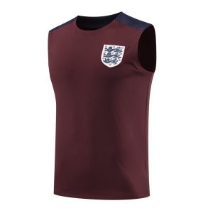 24-25 Season England Paris Jersey Pre-Match Warm-up Training Wear Short Sleeve Vest Single Shirt Suit