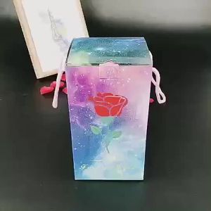 Eternal rose with LED lights Valentines Day gifts Mothers Day gifts Roses glass cover