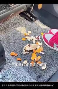 车载垃圾袋Car Garbage Bags Self-Adhesive Garbage Storage Bag Leak Proof Vomiting Proof Adhesive Cleaning Bag垃圾袋 小。。。