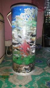 aquarium bukan WG