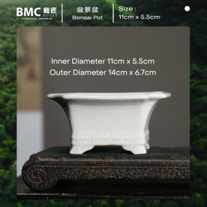 224. BMC Bonsai Pot Vintage Chinese Style Ceramic Flower Pot Square Shaped with Creative Beast  POT1141
