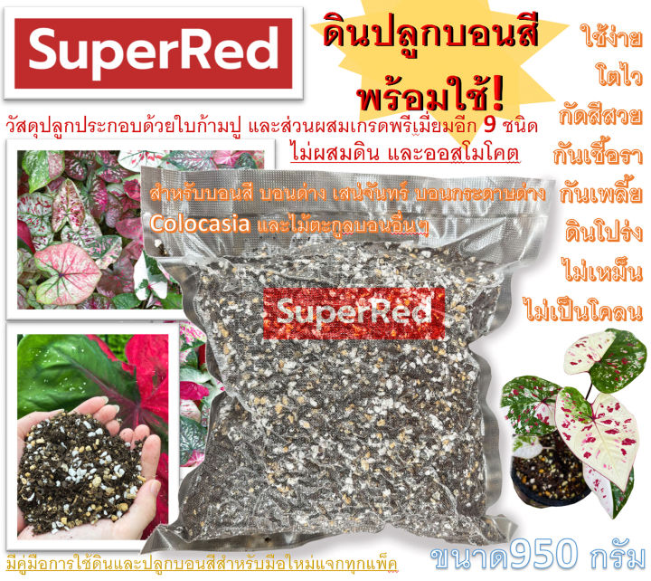 SuperRed soil ดินปลูกบอนสีผสมใบก้ามปู