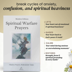 Spiritual Warfare Prayers Gods Spirit Prayers Fighting Books Culture Prayer Book Compassion Book Spirit Prohibition of food Prayer Content Guide
