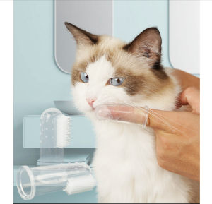 Bàn chải đánh răng cho Chó Mèo bằng Silicon xỏ ngón (mẫu mới) - Hara Pet Store