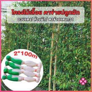 Missyou  ตาข่ายปลูกพืชผัก โครงไม้เลื้อย ค้างปลูกผัก อวนปลูกผัก Plant Support