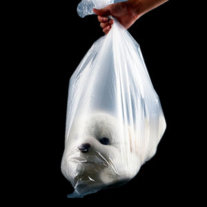 【Good Quality】Carton inner membrane bag PE low pressure flat pocket moisture-proof and dustproof transparent