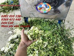 Máy băm được rất nhiều loại rau cỏ khác nhau làm thức ăn cho gia súc