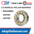 NUP205 NUP305 ตลับลูกปืนเม็ดทรงกระบอก Cylindrical Roller Bearings / NU / NUP205EM NUP305EM. 