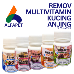 Remov multivitamin isi 30 kapsul imun bulu nafsu makan kucing