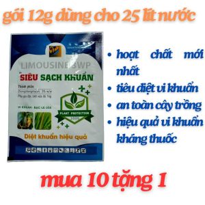 COMBO 10 GÓI TẶNG 1 GÓI SIÊU SẠCH KHUẨN CAM KẾT CHẤT LƯỢNG CHÍNH HÃNG