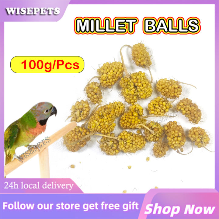 100g Bird Seed Millet Balls Parrot Food for Lovebirds with Coarse fiber