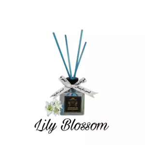 Everyone SPA Reed Diffuser Aromatheraphy Pengharum Ruangan 50ml