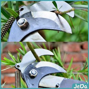 JeDa กรรไกรตัดแต่งกิ่งไม้ ตะขอตัดแต่งกิ่ง ใช้สำหรับสวน Garden shears