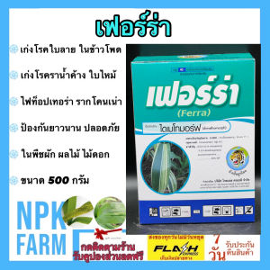เฟอร์ร่า ขนาด 500 กรัม ไดเมโทมอร์ฟ50%WP สารเดียวกับ ฟอรัม เก่งโรคใบลายในข้าวโพด ราน้ำค้าง ใบจุด ใบไหม้ ตากบ ตาเสือ ใช้ในพืชผักผลไม้ทุกชนิด