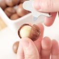 Macadamia Nuts 500g/250g creamy summer Nut snack. 