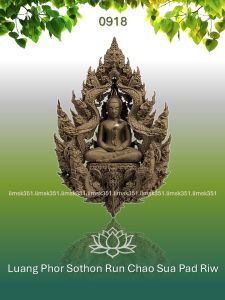 0918 Thailand Buddha Amulet 泰国佛牌. Luang Phor Sothon Run Chao Sua Pad Riw. Wat Tham Khao Cha Ang. BE2565.