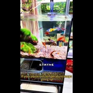 VOONLINE Aquarium Cooling Fan 1-6 Heads Fish Tank Cooling Fan DC 12V Adjustable Speed Timer 180° Angle(沃韦朗强力风扇1至6头)