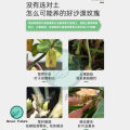ADENIUM MIX SOIL 富贵花专用泥 沙漠玫瑰泥土 沙漠玫瑰 富贵花 adenium plant soil Bunga Kemboja Specialist Adenium Planting Soil Potting Mix. 